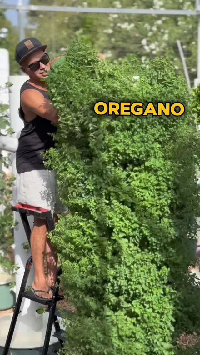 Hydroponic Growing System Mini