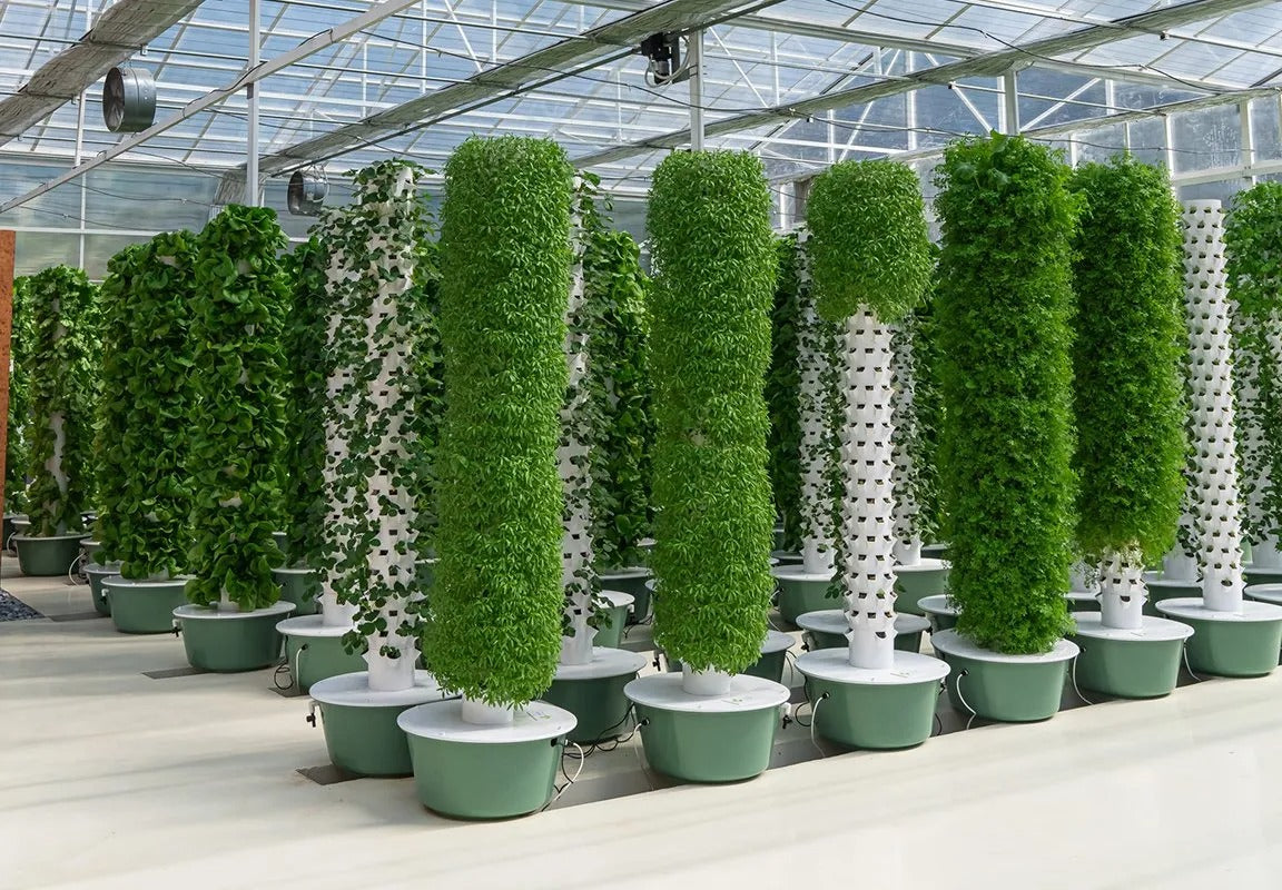 Hydroponic Growing System Mini