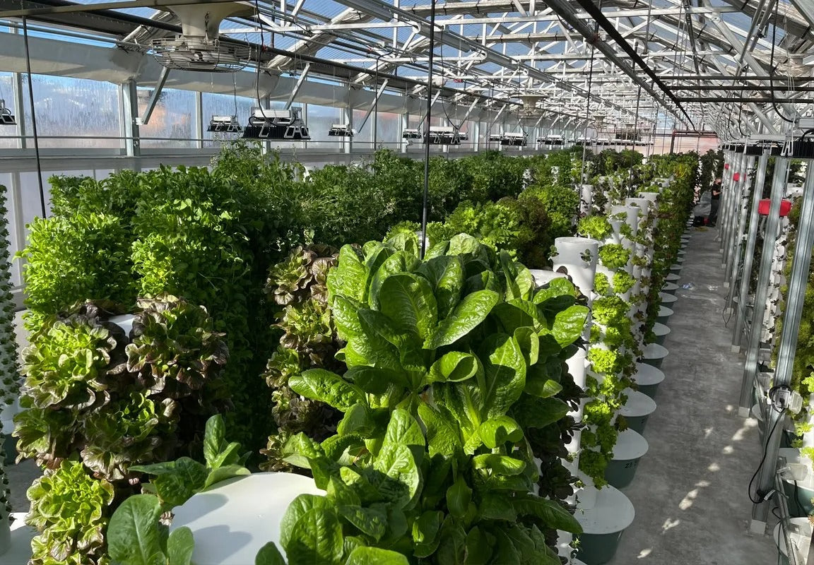 Hydroponic Growing System Mini