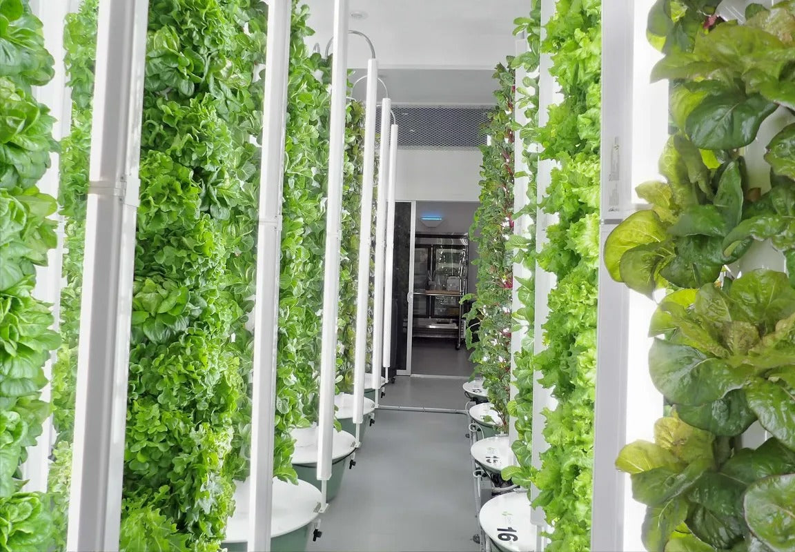 Hydroponic Growing System Mini