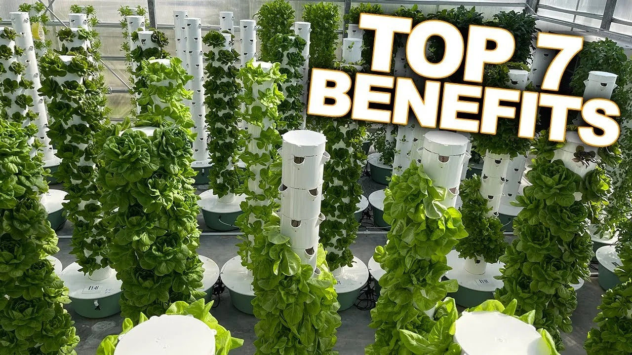 Hydroponic Growing System Mini