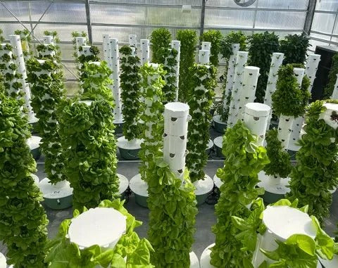Hydroponic Growing System Mini