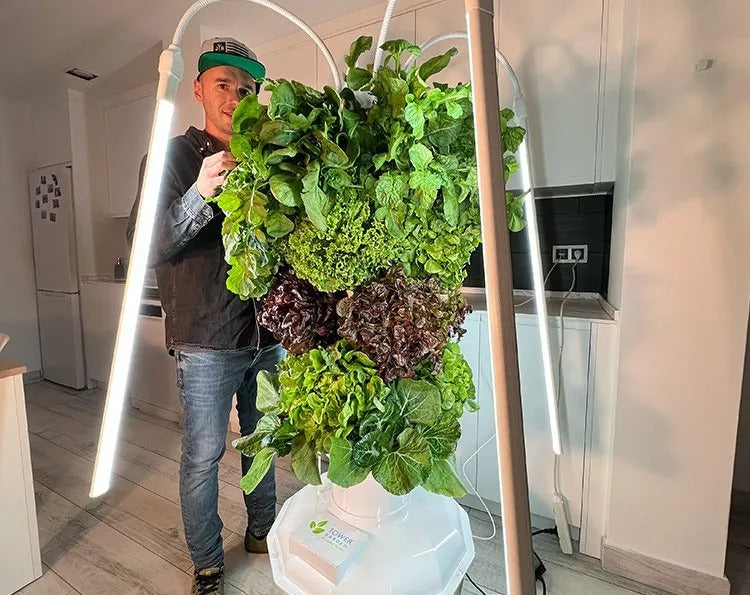 Hydroponic Growing System Mini