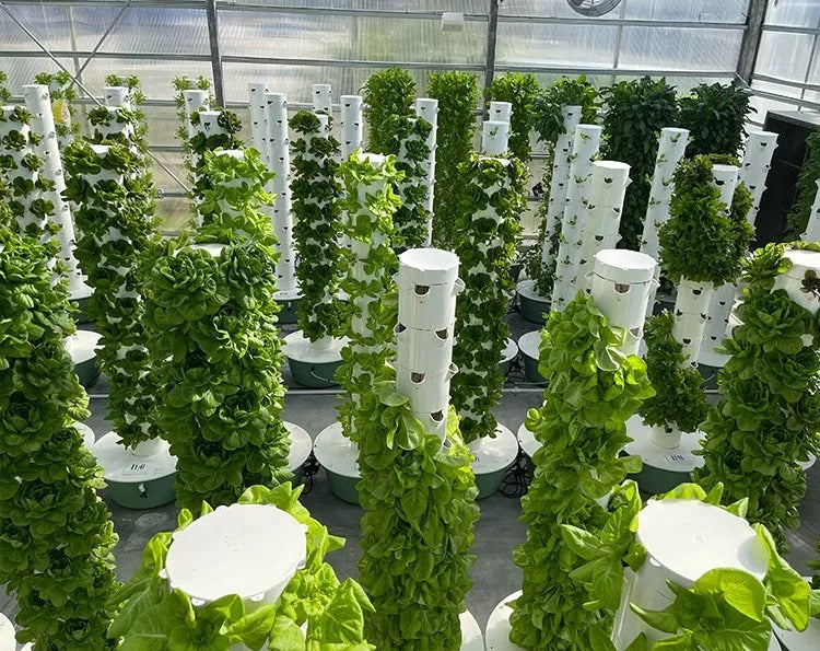 Hydroponic Growing System Mini
