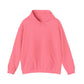 Bold Graphic Hooded Sweatshirt