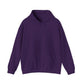 Bold Graphic Hooded Sweatshirt