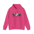 Friends TV Show Inspired Unisex Hoodie