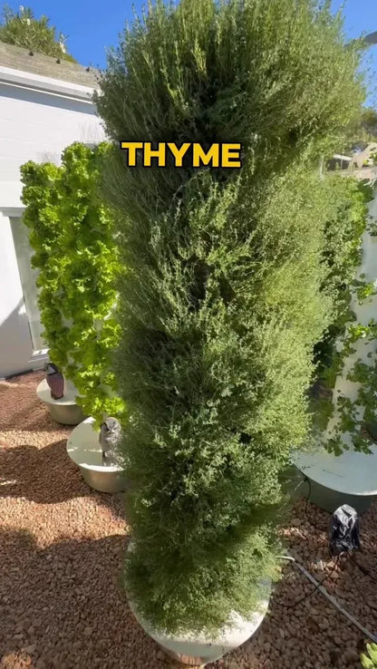 Hydroponic Growing System Mini