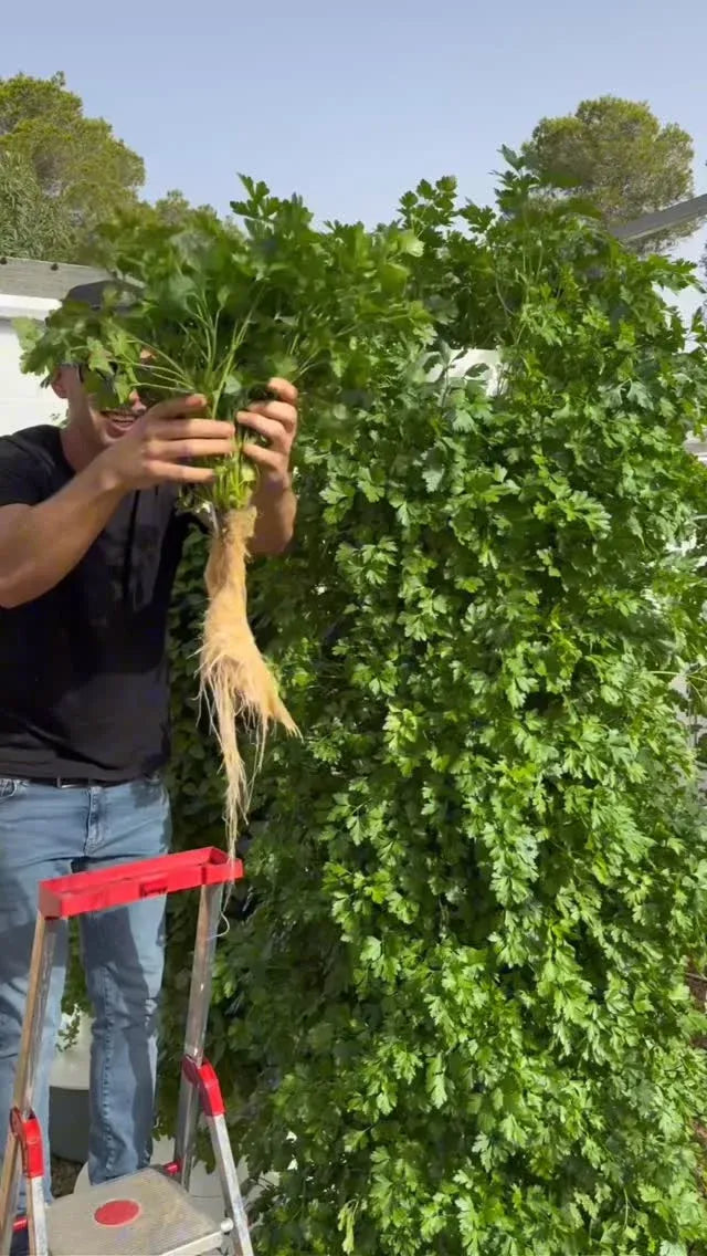 Hydroponic Growing System Mini
