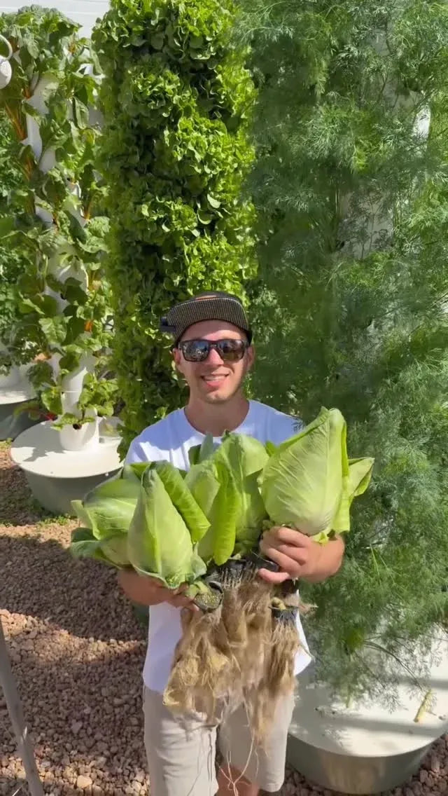 Hydroponic Growing System Mini