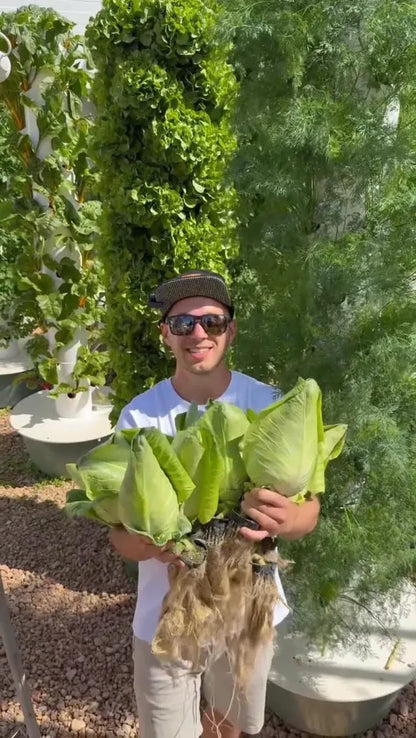 Hydroponic Growing System Mini